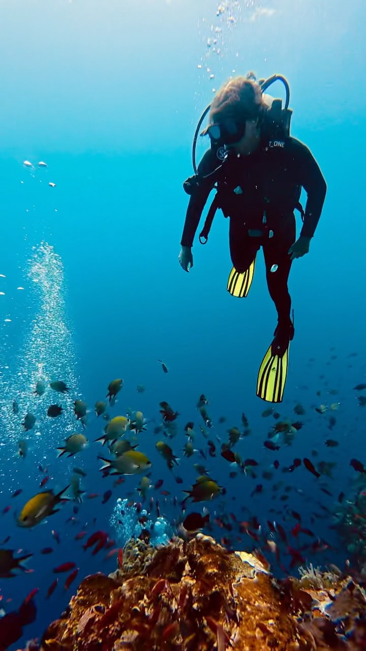 Absolutely unreal, no words describe it

Thank you Neptune Dive School Komodo 🙏

#scuba #underthesea #komodonationalpark #nowords #indonesia