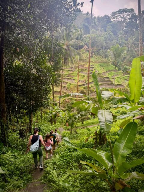 Travelmaxxing 🚞 

Dragon sightings, boatloads of boat rides, way too many matchas, and some stomach meds 🙃🤙

Suksma Bali 🏄‍♀️ now back to regularly scheduled programming 🇳🇴

#indonesia #ubud #komodo #travel #vacay